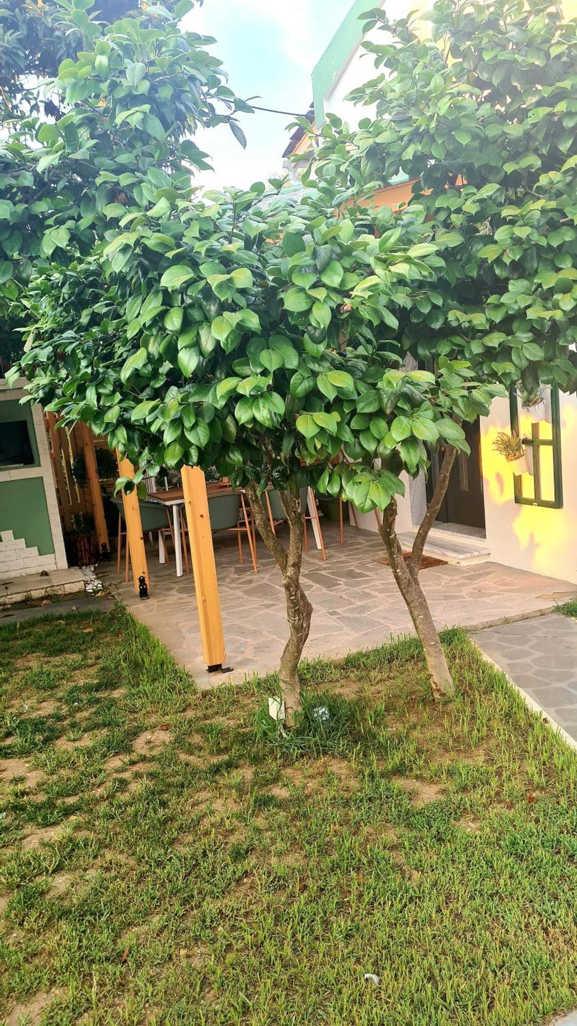 Lamprini'S Deluxe Studios Ліменас Екстер'єр фото